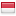 ayamkingkong.com is hosted in Indonesia